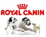 Logo Royal Canin Pes
